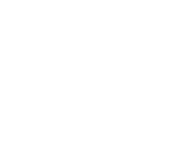LVMH Group
